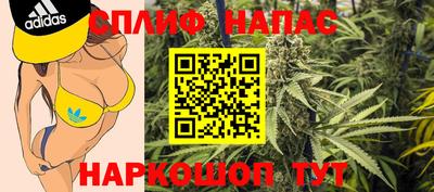 spice Дубна