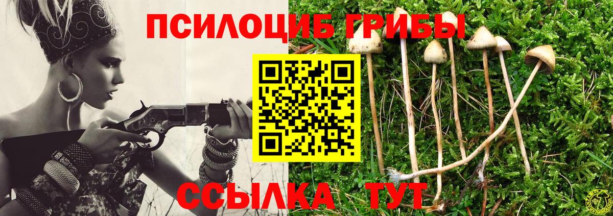 Псилоцибиновые грибы Psilocybine cubensis Казань